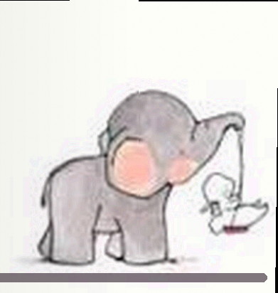 刘洋